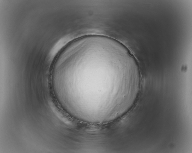 X0000110960151200907022229