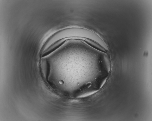 X0000110960152200907022229