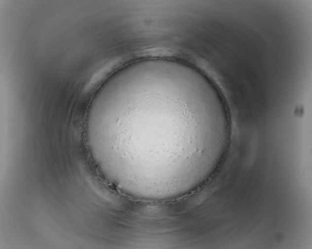 X0000110960153200907022229