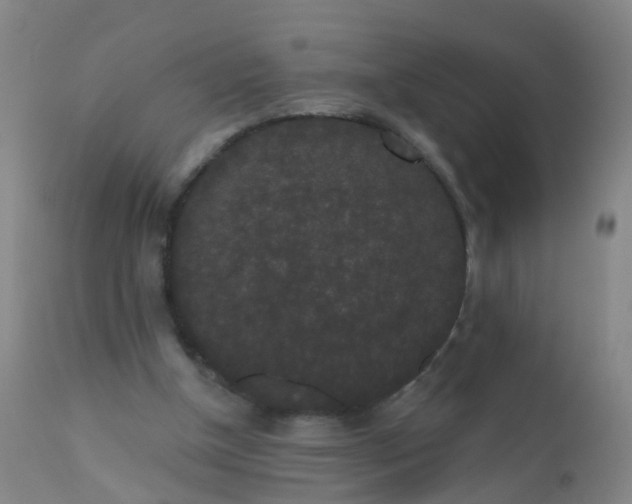 X0000110960154200907022229