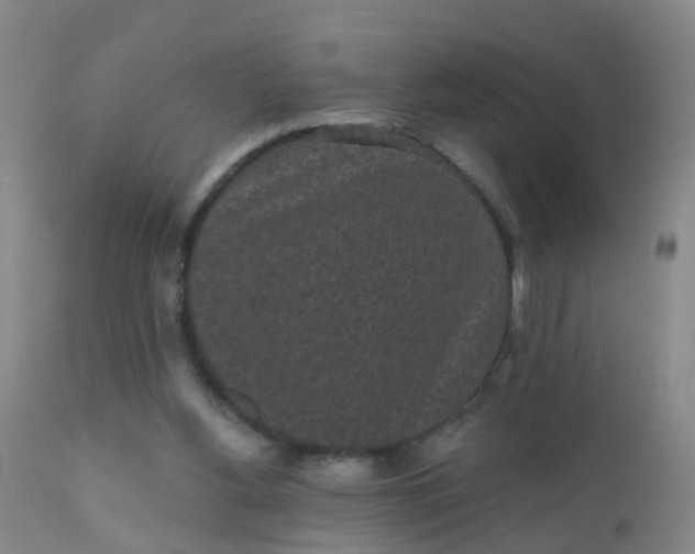 X0000110960156200907022229