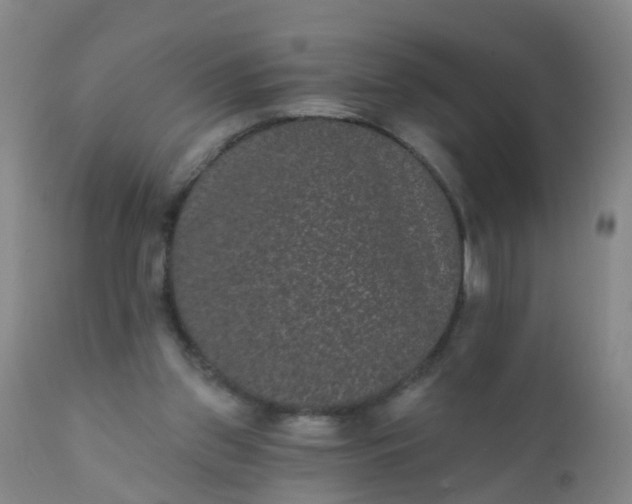 X0000110960157200907022229