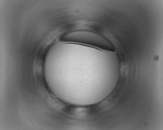 X0000110960158200907022229