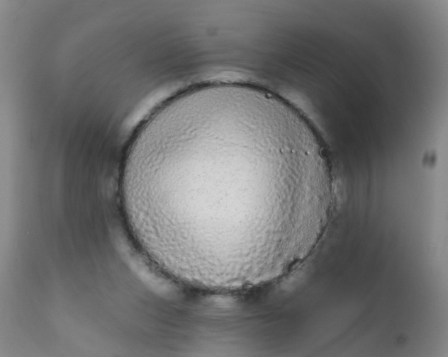 X0000110960159200907022229