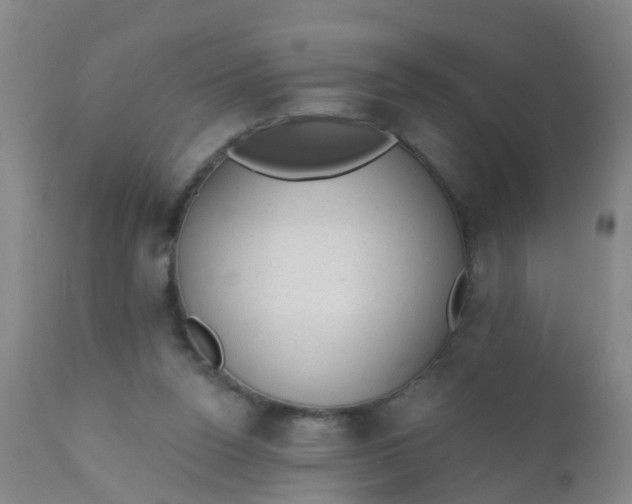 X0000110960160200907022229