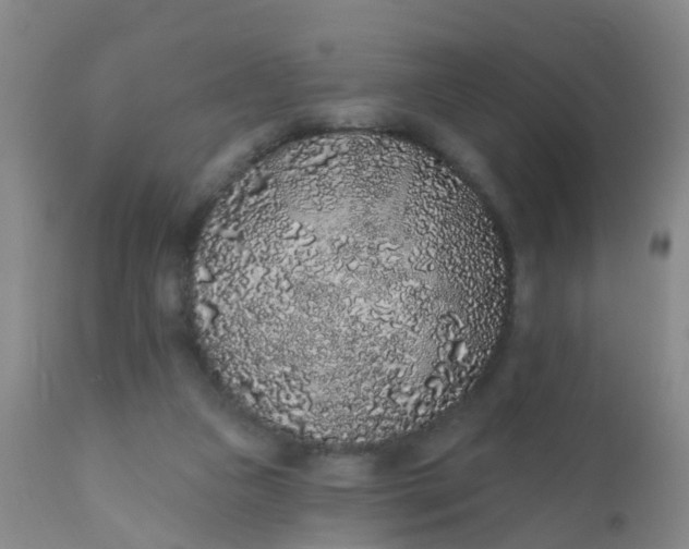 X0000110960161200907022229