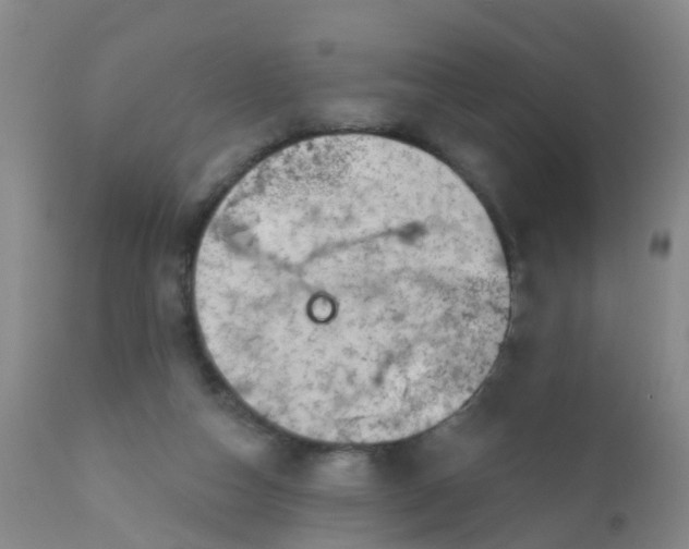 X0000110960162200907022229