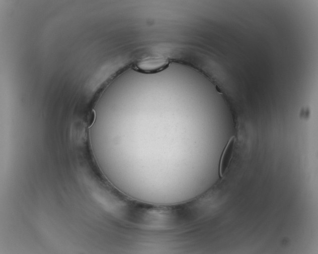 X0000110960164200907022229