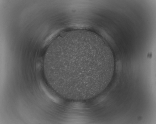 X0000110960165200907022229