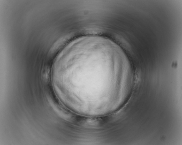 X0000110960166200907022229