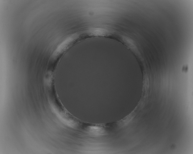 X0000110960167200907022229