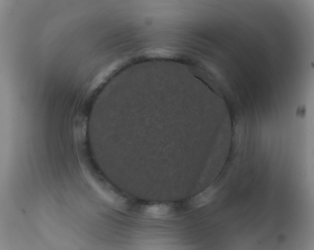 X0000110960168200907022229