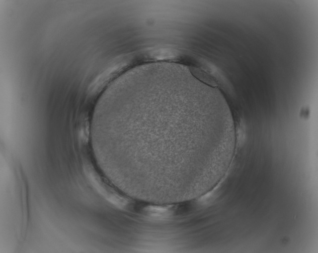 X0000110960170200907022230