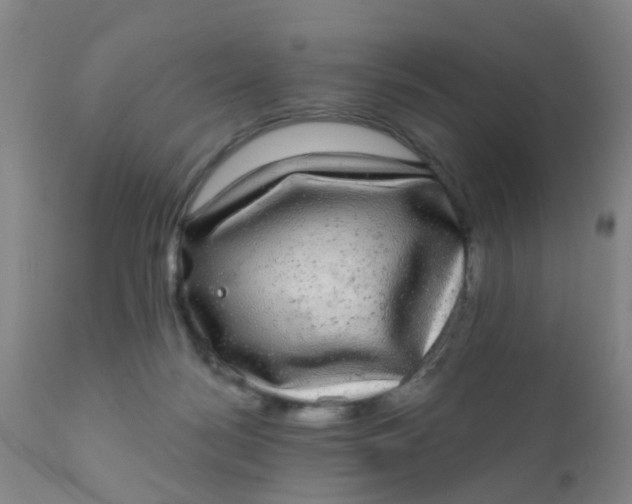 X0000110960172200907022230