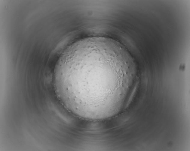 X0000110960173200907022230