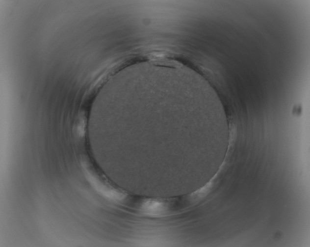 X0000110960174200907022230