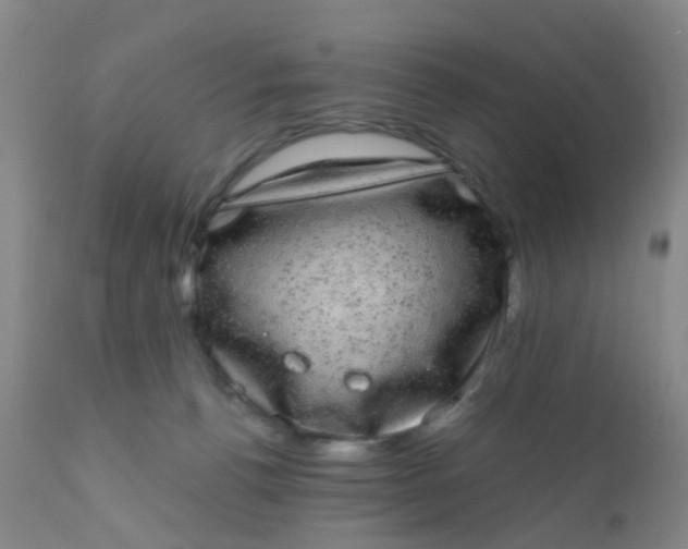 X0000110960176200907022230