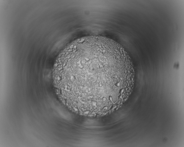 X0000110960177200907022230