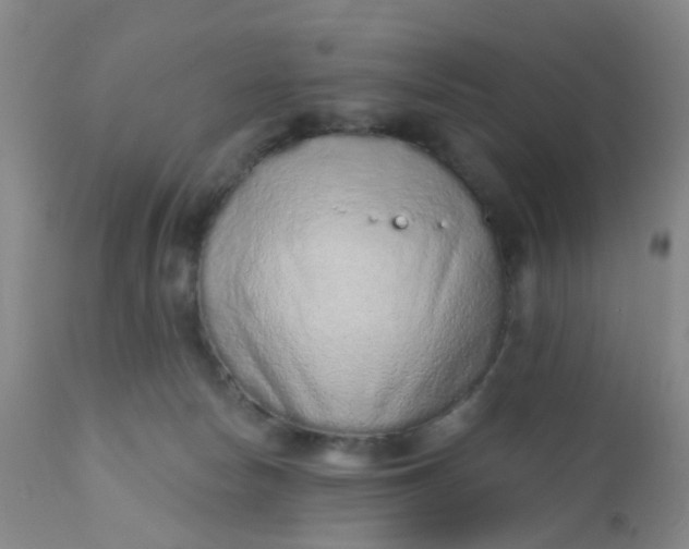 X0000110960178200907022230