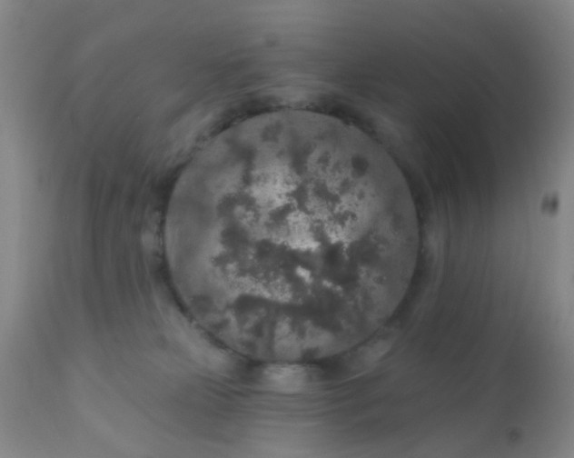 X0000110960181200907022230