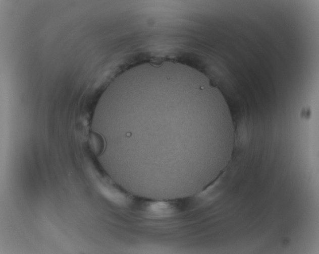 X0000110960183200907022230