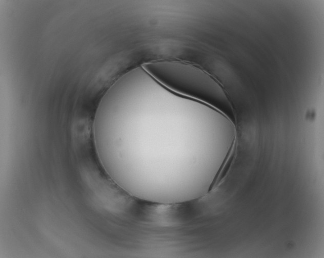 X0000110960184200907022230