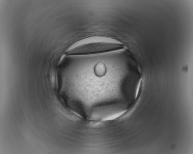 X0000110960186200907022230