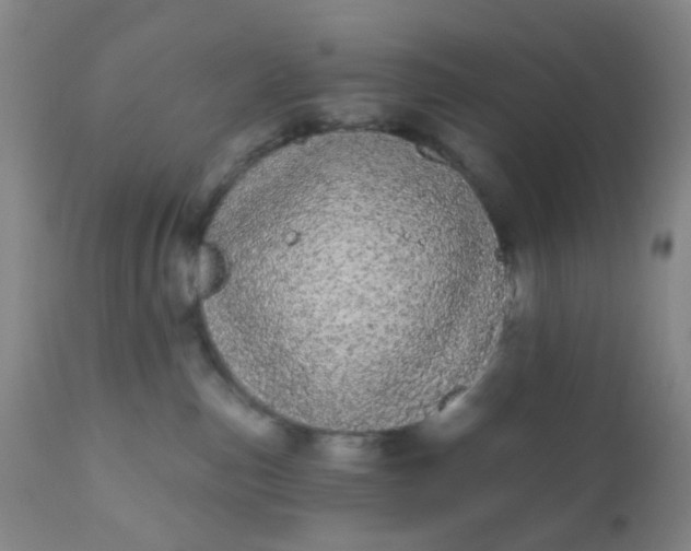 X0000110960187200907022230