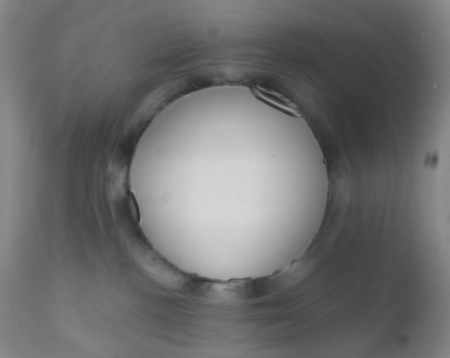 X0000110960188200907022230