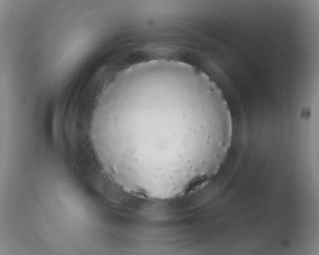 X0000110960189200907022230