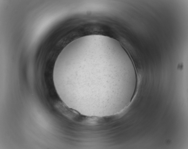 X0000110960190200907022230