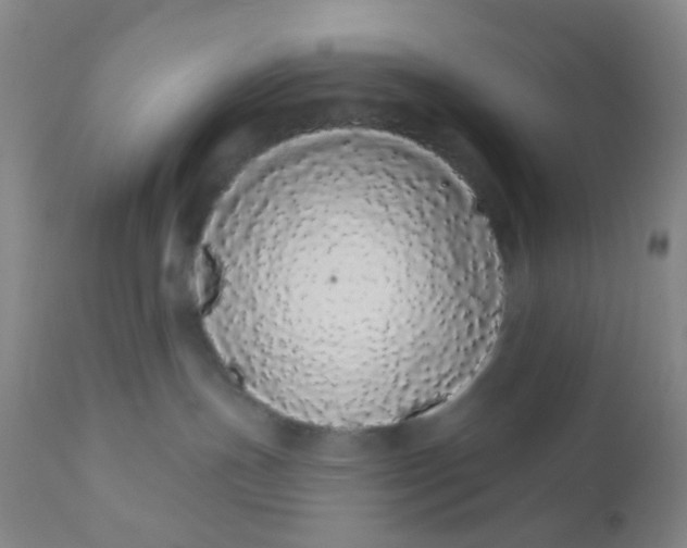 X0000110960191200907022230