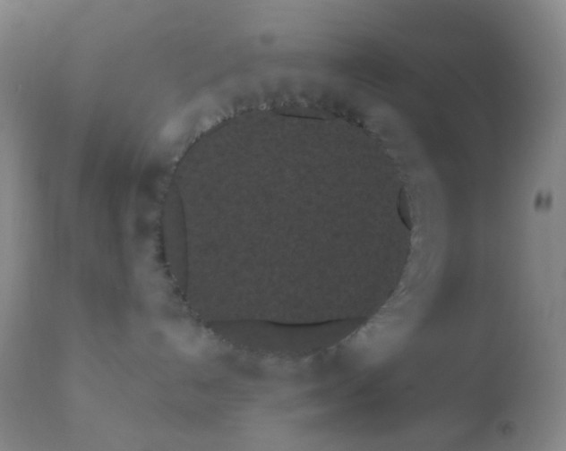 X0000110960192200907022230