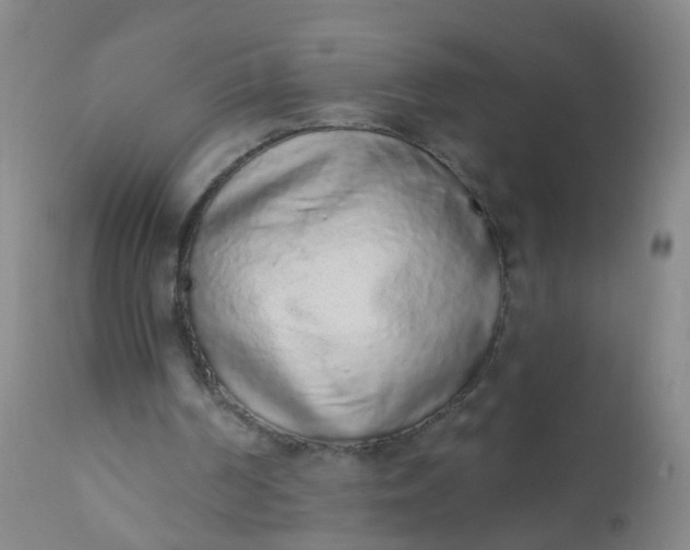 X0000110960194200907022229