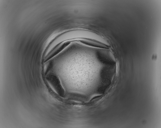 X0000110960195200907022229