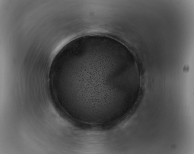 X0000110960196200907022229