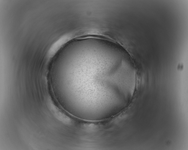 X0000110960197200907022229