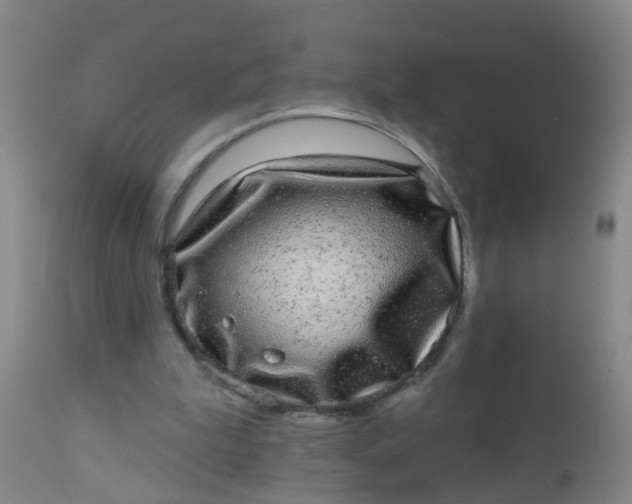 X0000110960199200907022229