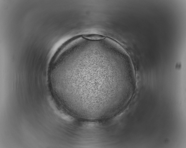 X0000110960200200907022229