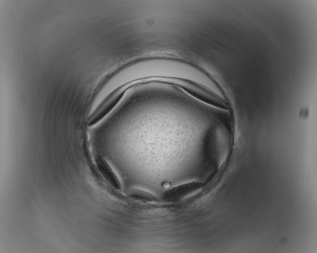 X0000110960201200907022229