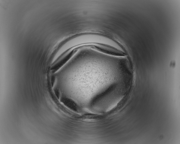 X0000110960203200907022229