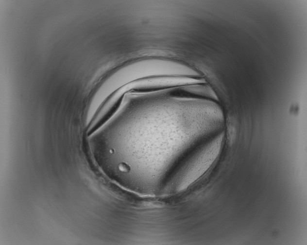 X0000110960207200907022229