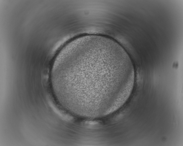 X0000110960208200907022229