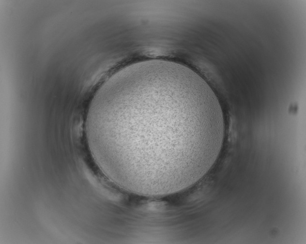 X0000110960210200907022229