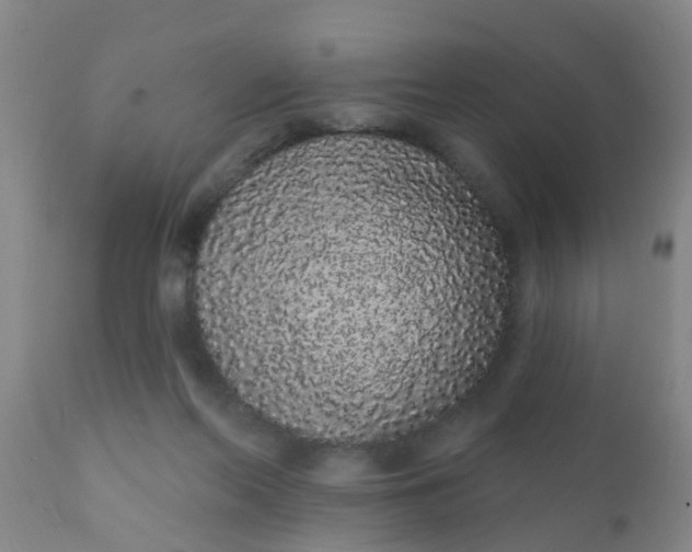 X0000110960214200907022229