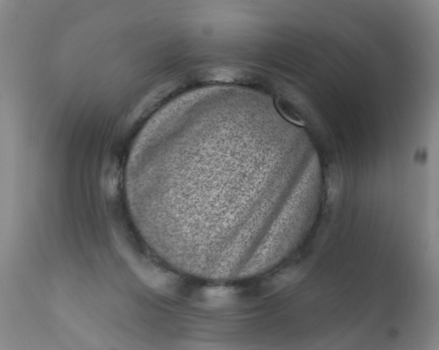 X0000110960216200907022229