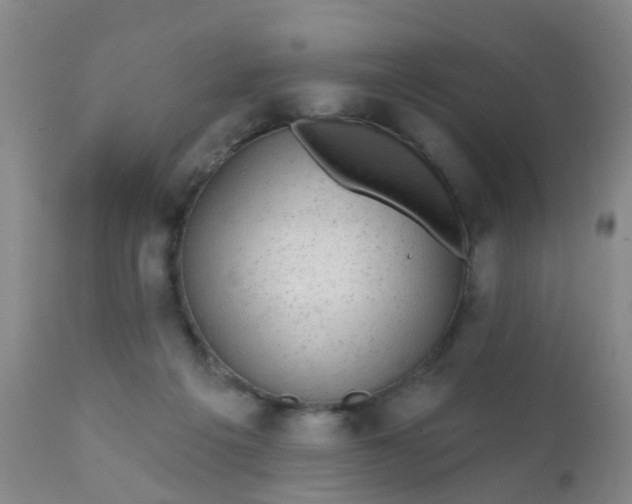 X0000110960217200907022229