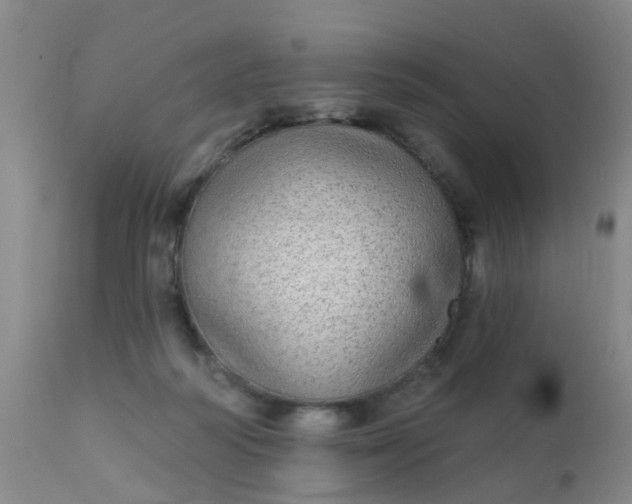 X0000110960218200907022229