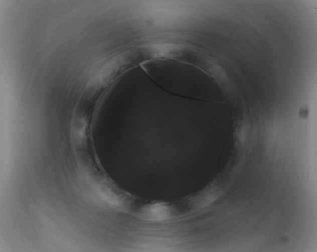 X0000110960219200907022229