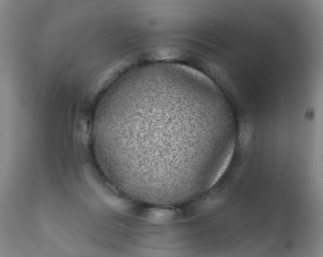 X0000110960220200907022229